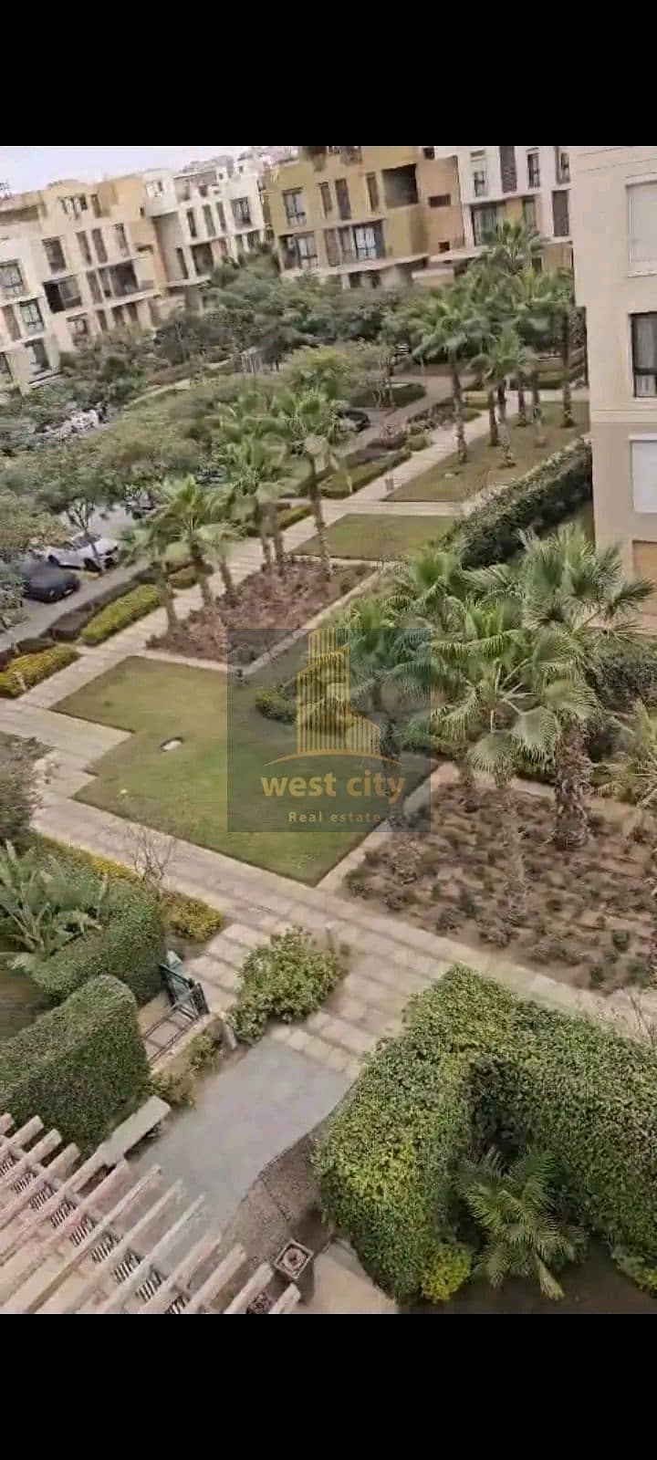 3 1766137469219. jpg