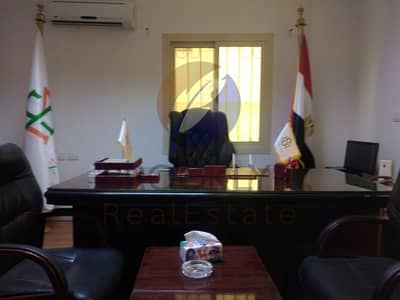 3 Bedroom Flat for Rent in New Cairo, Cairo - 53a884c3-30e1-4ca5-ace7-4b07c1d83e4e. jpeg
