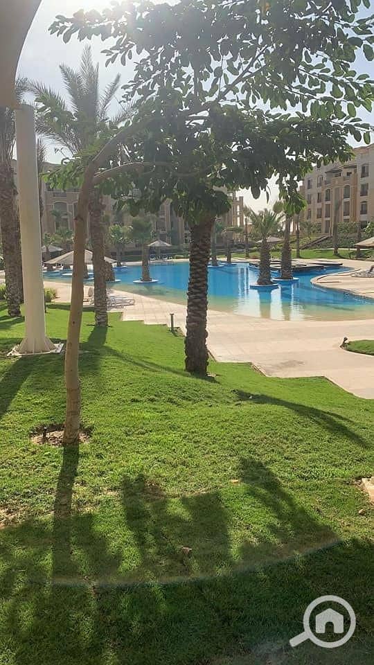 3 274550729_1675385112806628_6195039139490712456_n. jpg