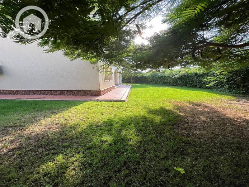 7 103dd89e-714a-4618-adc1-324f8721cae0. jpeg