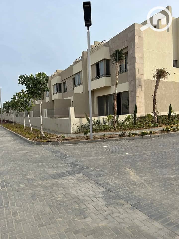 8 photo_2025-03-20_02-29-31. jpg