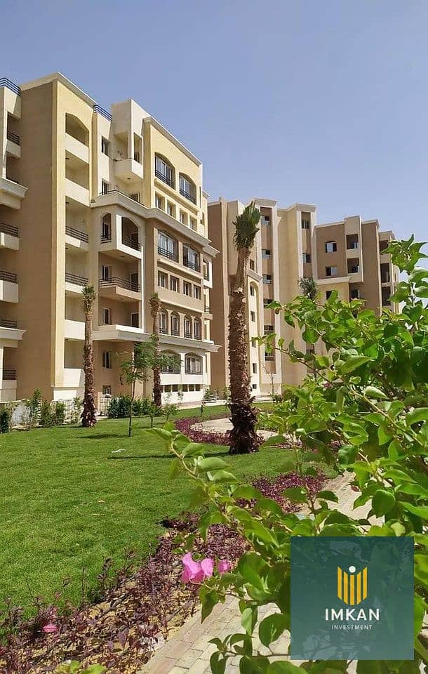 10 425995252_7969599693056322_1489176385550877452_n. jpg