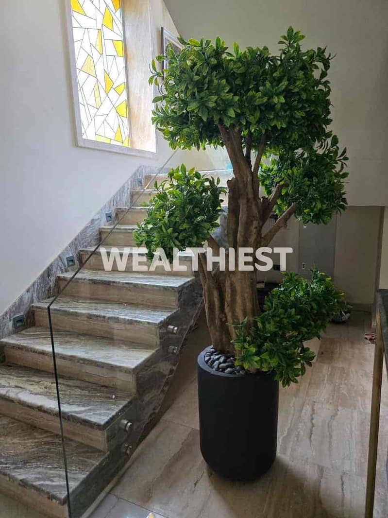 7 958fe3e5-8f82-4f79-931a-09bf1b68e44c. jpg