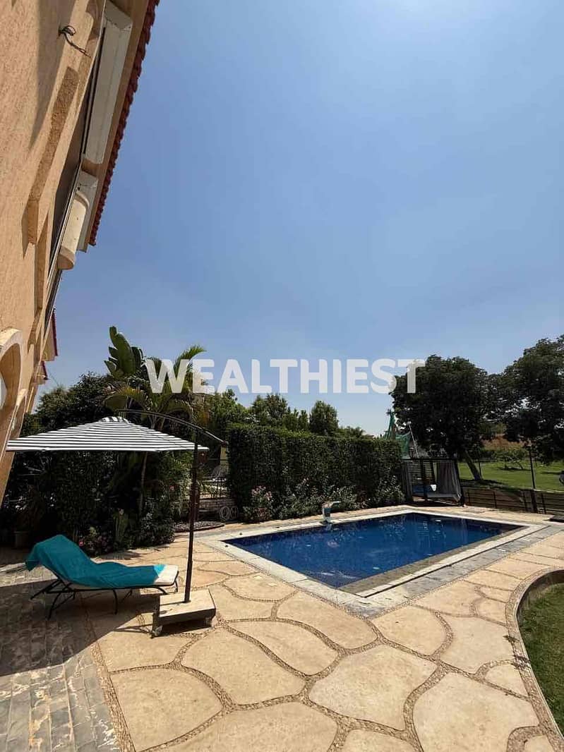 17 7a22979d-67c3-4d84-a77b-37a6bd3aaee4. jpg