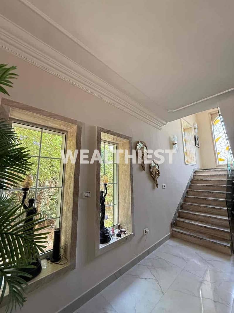 20 5e008700-44c0-42de-a3fb-c8b2b04f7444. jpg