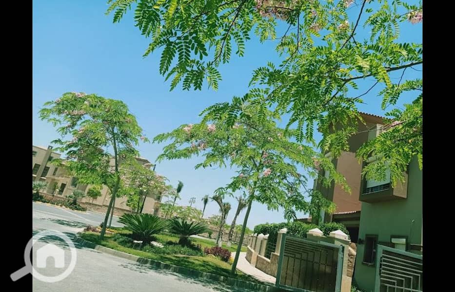 2 484826736_988598476710287_7141014131860422418_n. jpg