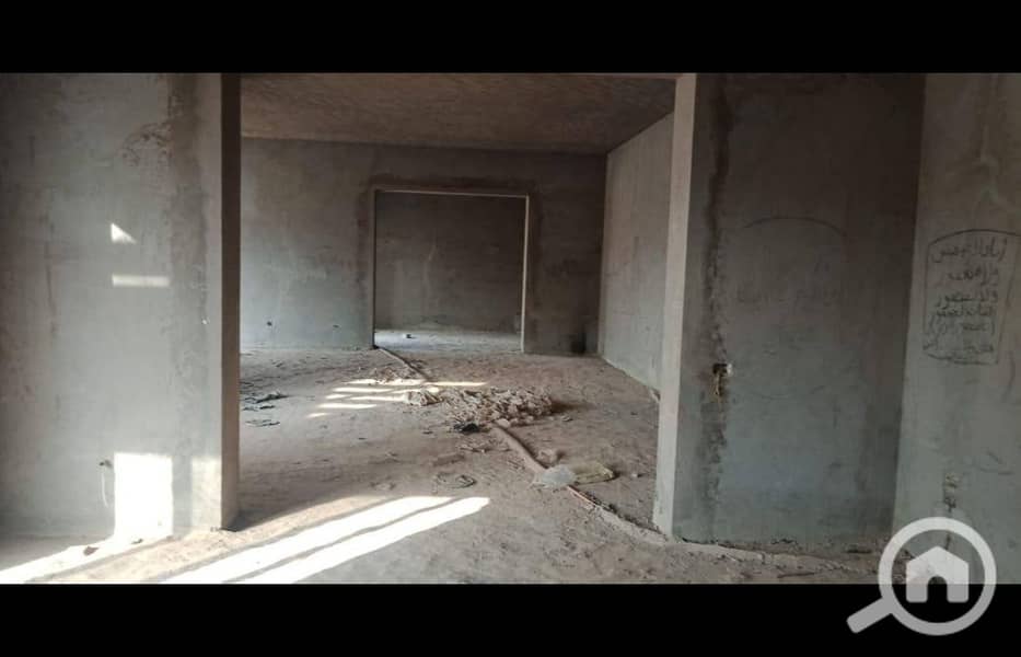 10 485403874_988607633376038_5817361438363463247_n. jpg