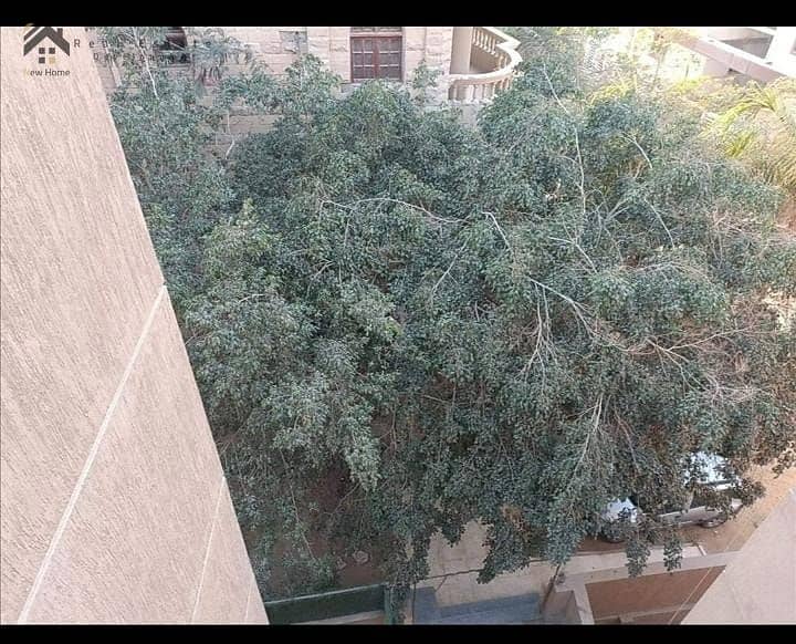 4 WhatsApp Image 2025-11-18 at 14.03. 55_0dfe15eb. jpg