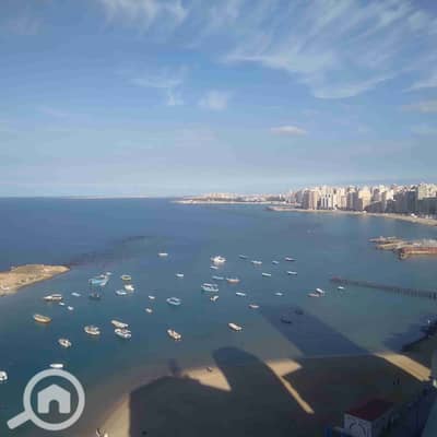 3 Bedroom Apartment for Rent in Miami, Alexandria - 1000271686. jpg