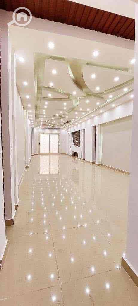 6 6381c117-cfac-42c1-ae3b-02938d7554f8. jpg