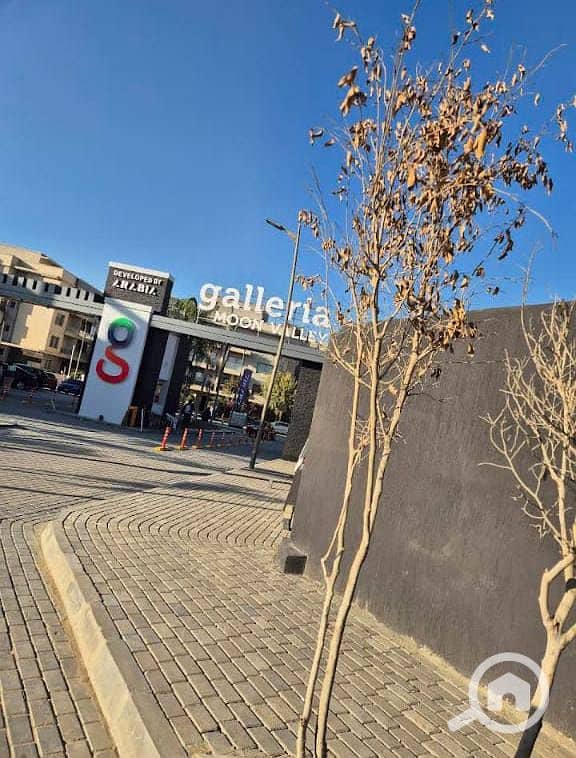 4 580066378_122158545716725424_735997023619804428_n. jpg