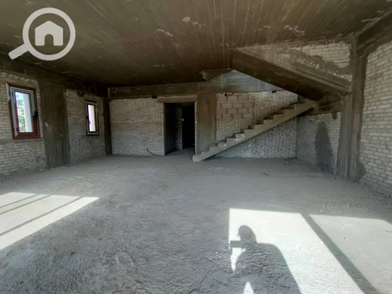 3 24a39571-9cf5-4f0f-9d16-7c222ba31a4d. jpg