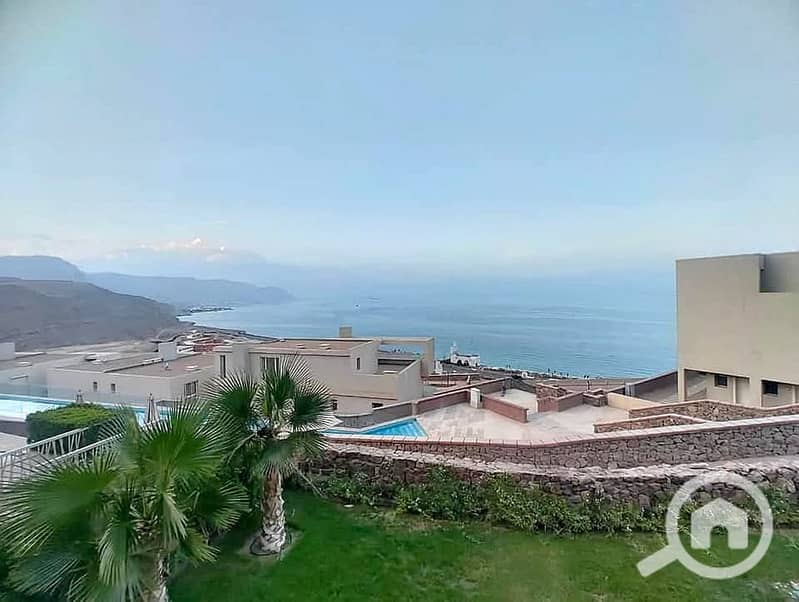 12 584036505_1524819532140948_9032789546808845890_n. jpg