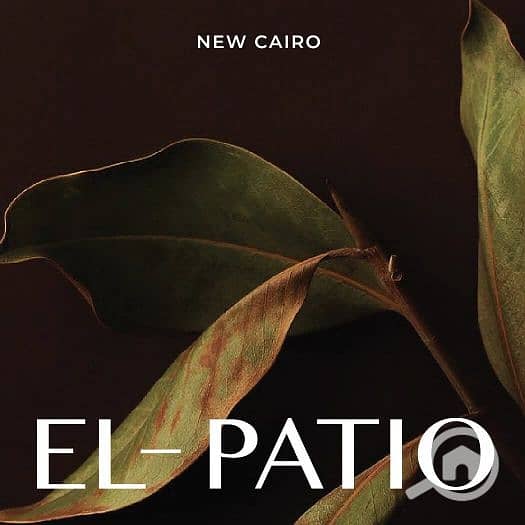 2 7fec4cb0-3974-4af4-81d0-5304b2cbbdaf. jfif. jpg