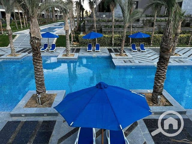 4 844c9b42-c0e6-462c-a66b-8202ff0b3b00. jfif. jpg