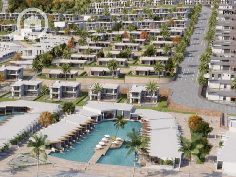 12 dirctionwhate (4). jpeg