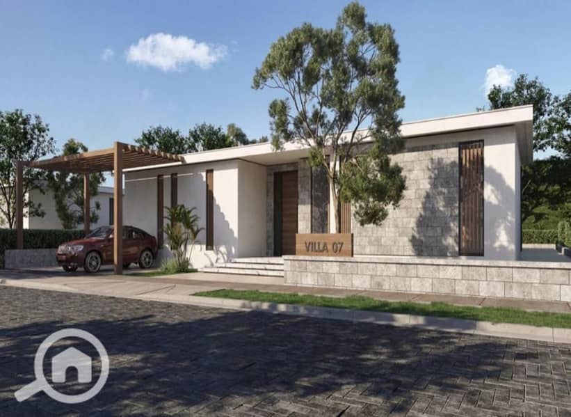 13 dirctionwhate (6). jpeg