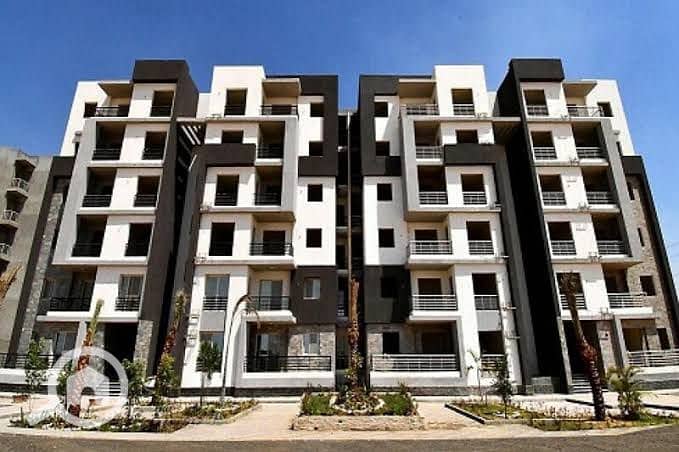 11 IMG-20250203-WA0133. jpg