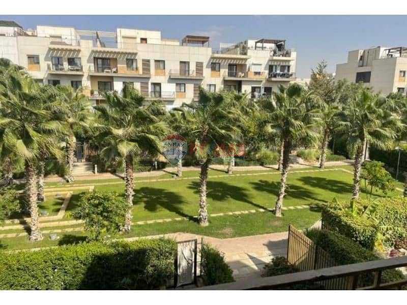 5 8416898-ae26eo. jpg