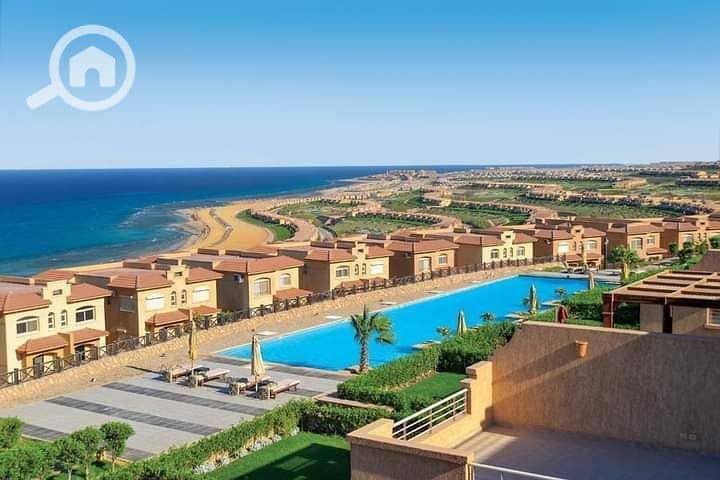 6 photo_2025-03-12_19-01-22. jpg