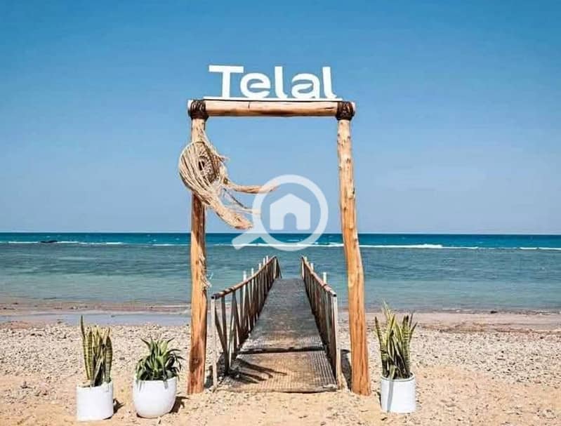 9 481057458_1637772990463605_4991869537059992635_n. jpg