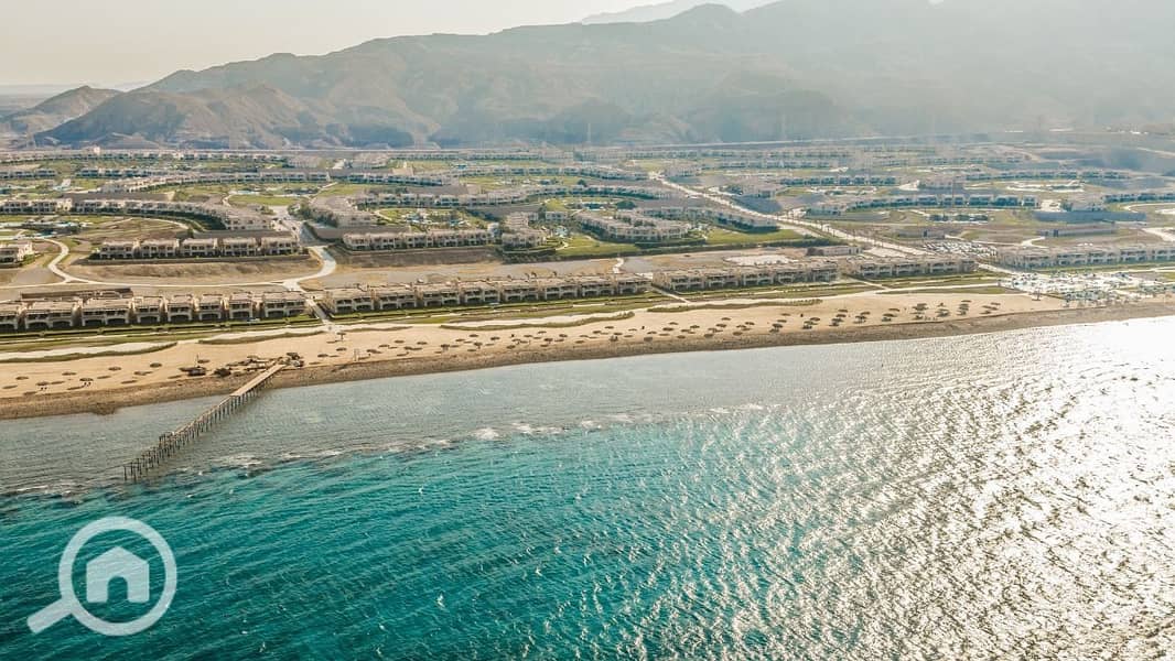 7 photo_2025-03-24_22-12-06. jpg