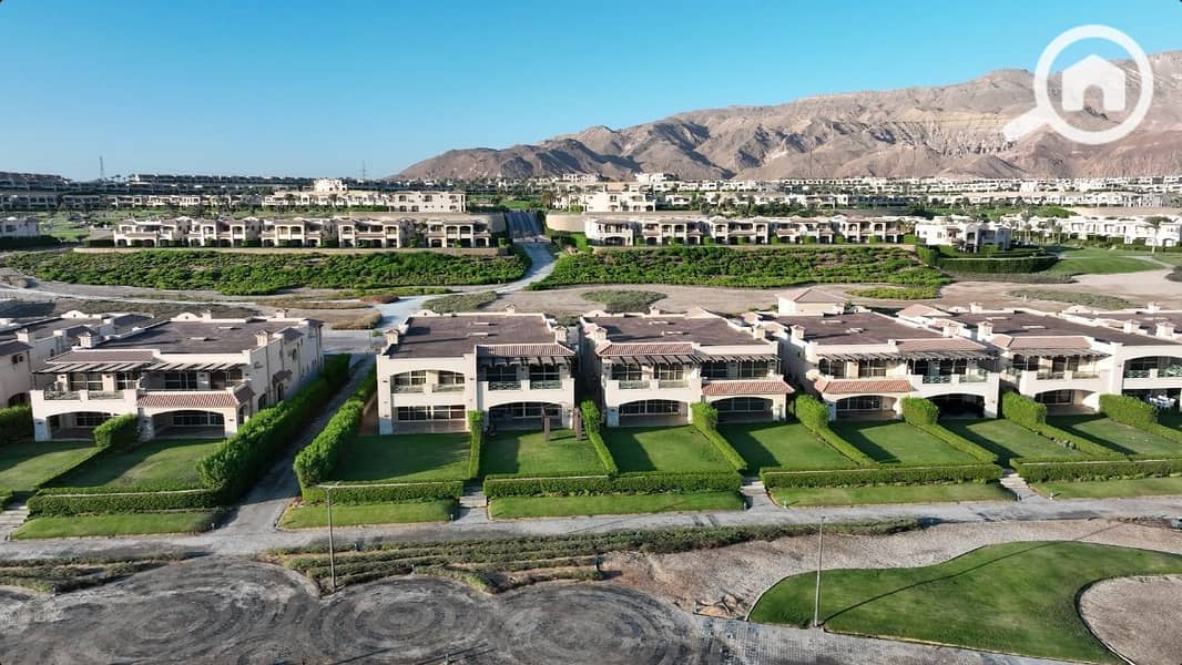 9 photo_2025-03-24_22-12-12. jpg