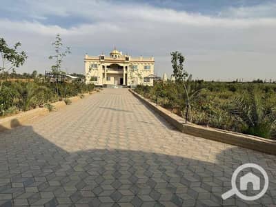 8 Bedroom Other Residential for Sale in 10th of Ramadan, Sharqia - IMG_0756. jpg