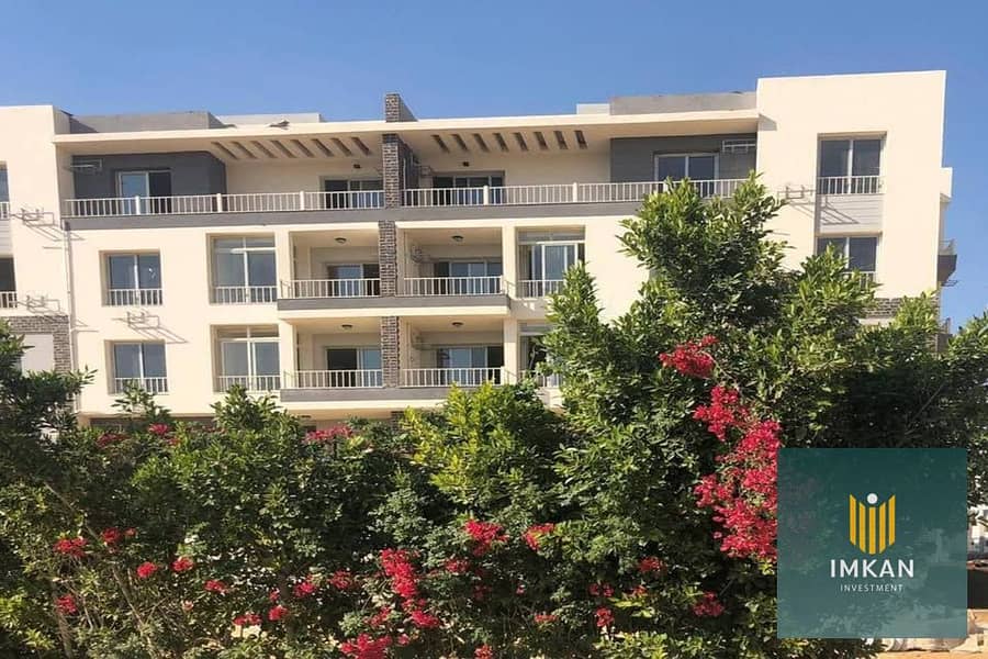 12 477041298_550814141340049_5662982541440497242_n. jpg