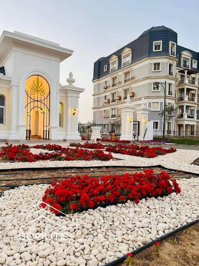 5 WhatsApp Image 2025-04-12 at 16.43. 44. jpeg