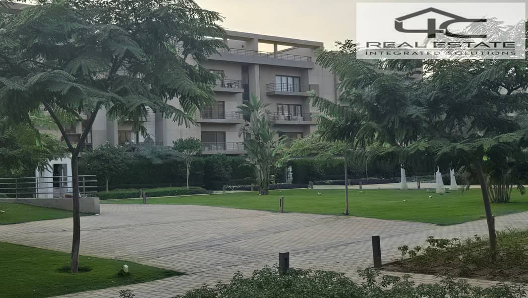 10 20251117_162125. jpg