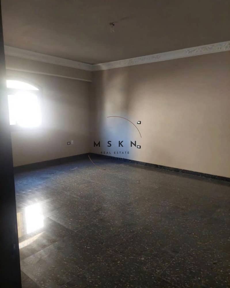 9 photo_2025-12-19 22.37. 44. jpeg