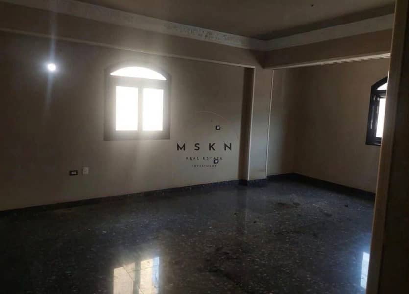 10 photo_2025-12-19 22.37. 45. jpeg