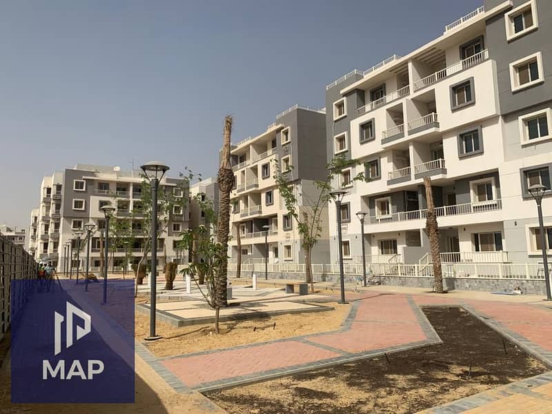 2 WhatsApp Image 2025-02-12 at 10.43. 42 PM (1). jpeg