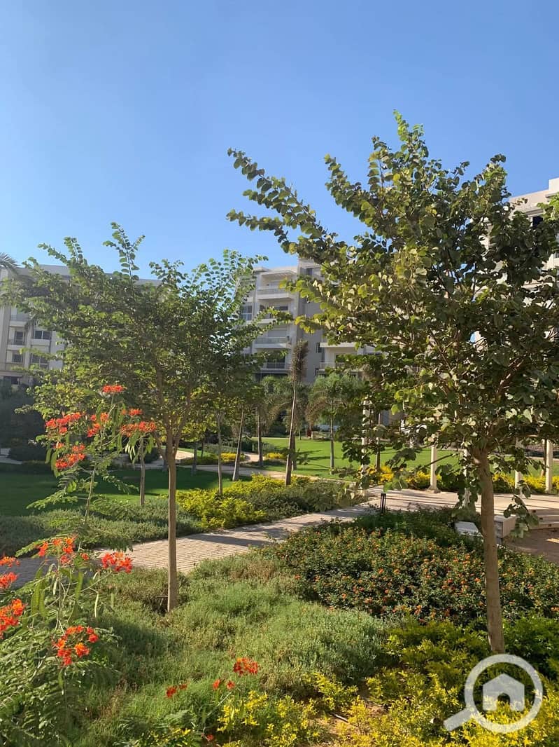 5 FB_IMG_1764969396916. jpg