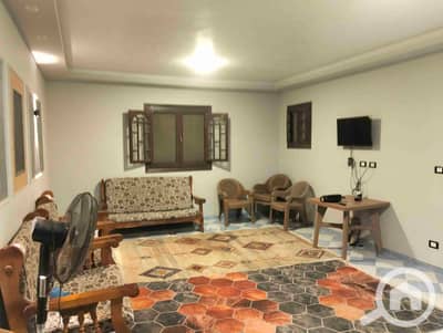 فلیٹ 3 غرف نوم للايجار في عجمي، الإسكندرية - 1000500909. jpg