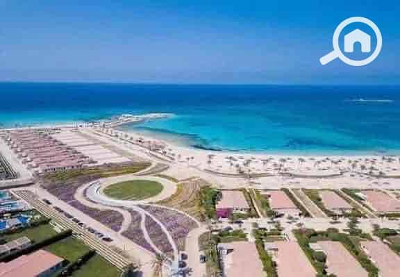 2 70dacf16-54c1-4459-acc7-f8dbd429b370. jpg