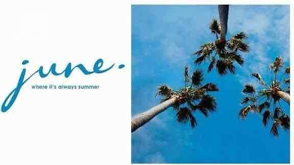 8 22e89e2f-3cf2-4323-ac39-f1d8c4cd06e8. jpg