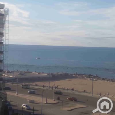 2 Bedroom Apartment for Rent in Miami, Alexandria - 1000271877. jpg