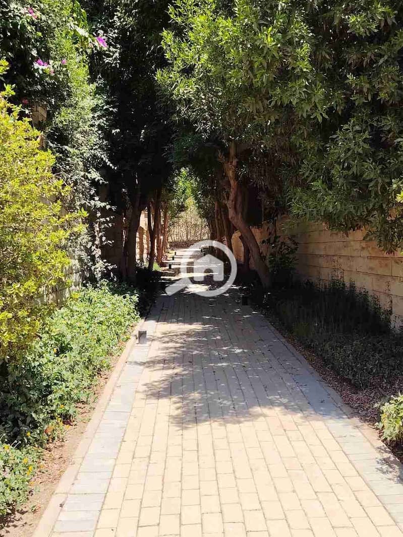 7 IMG_20251012_003212_877. jpg