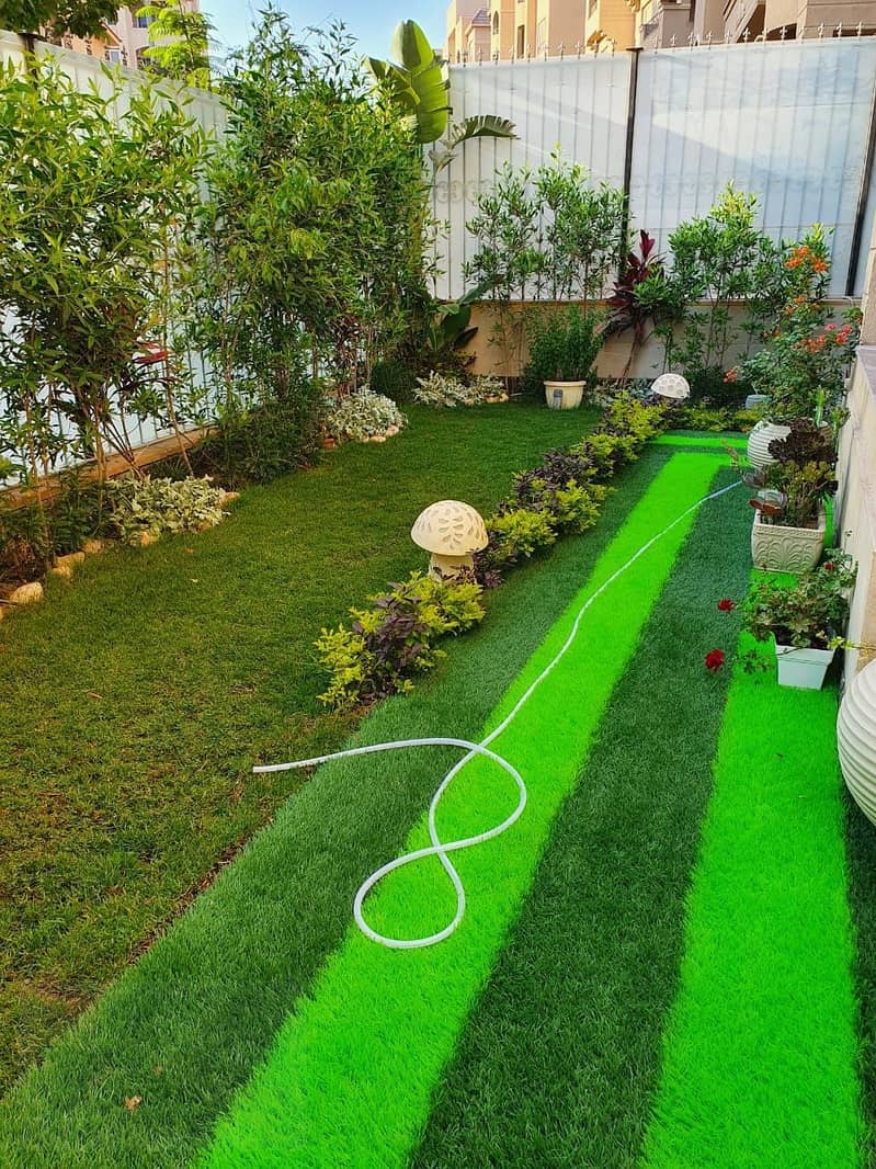 11 photo_2025-12-20_02-52-07. jpg