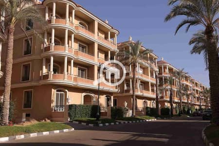 شقة 3 غرف نوم للبيع في مدينة الشروق، القاهرة - 1000541505. jpg شقة 3 غرف نوم للبيع في مدينة الشروق، القاهرة - 1000541505. jpg