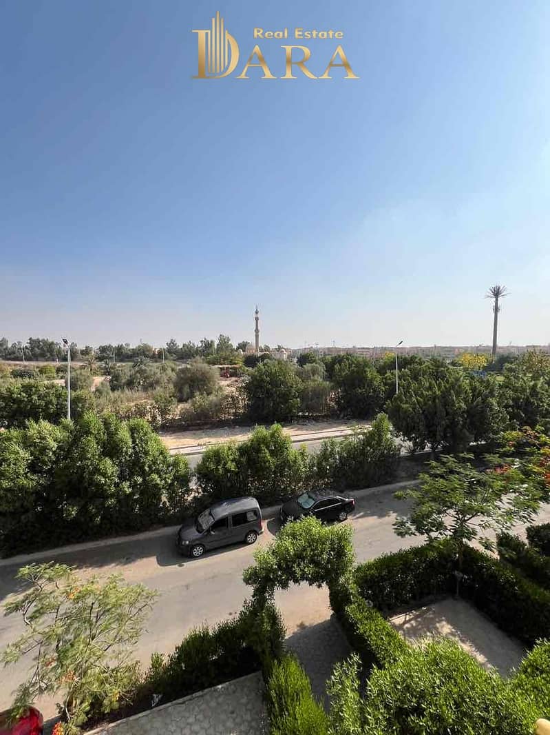 16 982c89cd-fe9b-4a2d-9072-c4a3b99b7219. jpg