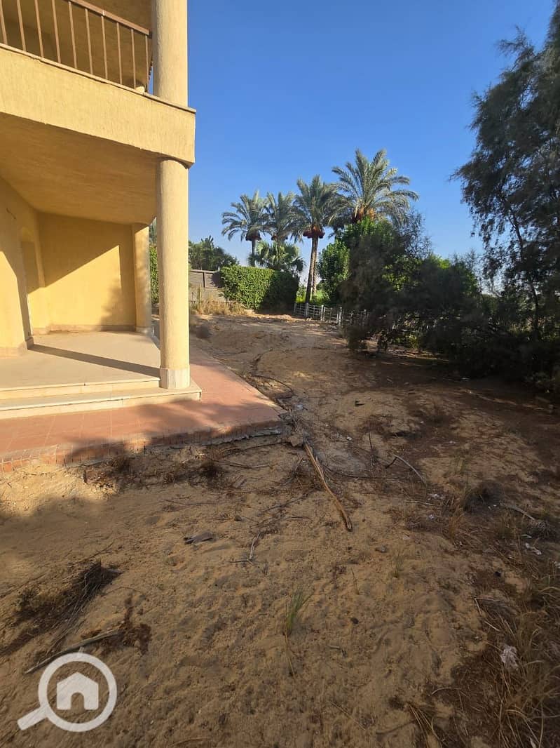 16 bb3c7eda-7626-4328-af70-538e46536fde. jpeg