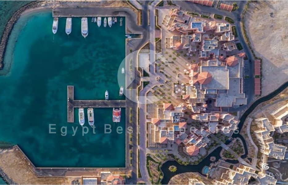 6 Screenshot_27-2-2024_144653_. jpeg