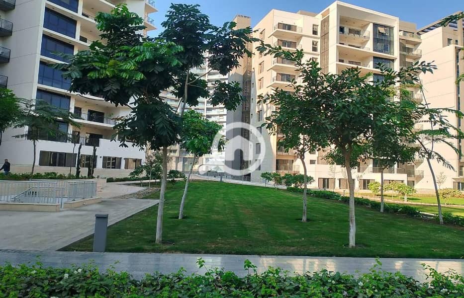 6 WhatsApp Image 2025-01-30 at 1.06. 12 PM (2). jpeg