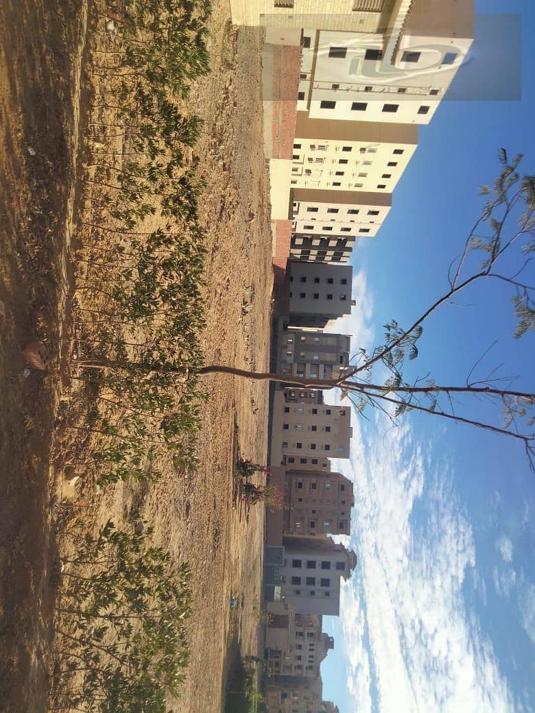 8 WhatsApp Image 2025-12-20 at 12.18. 42 PM (2). jpeg