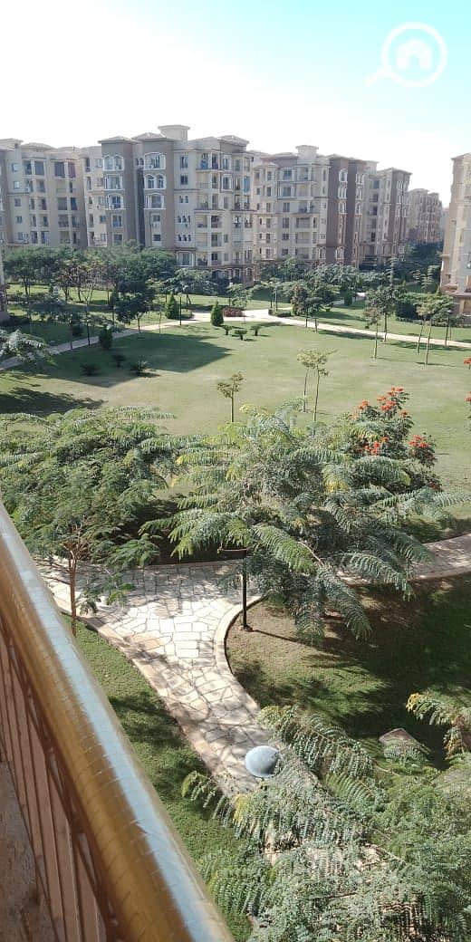 2 53f9ab61-29c0-48ab-9d6c-0d2fb5ddf9a4. jpg