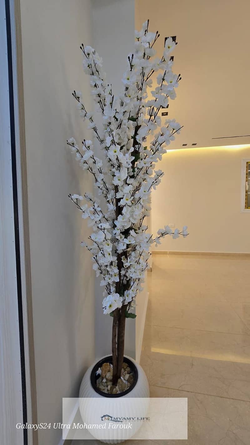 25 WhatsApp Image 2025-12-04 at 11.46. 17 AM (1). jpeg