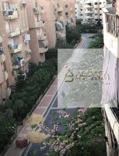 2 Bedroom Flat for Sale in New Cairo, Cairo - WhatsApp Image 2025-12-20 at 12.43. 33 PM. jpeg